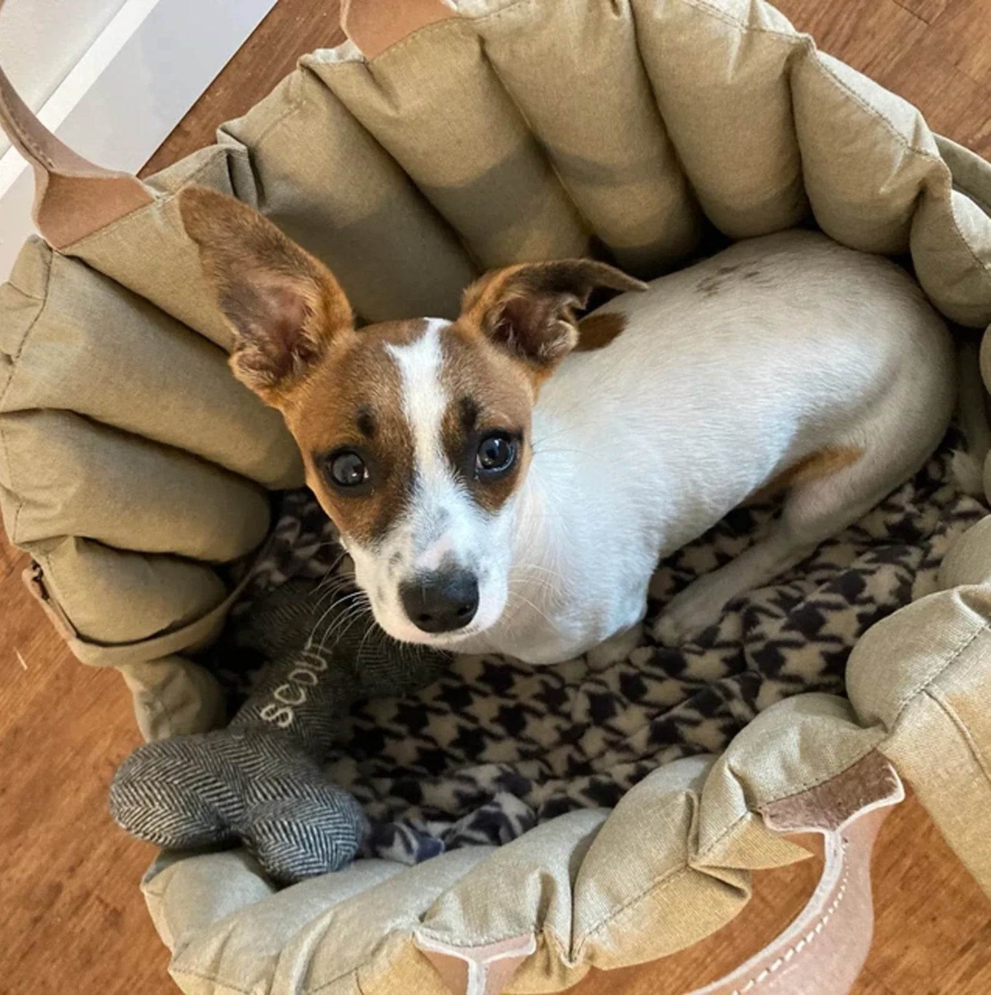 Pet Supplies Hot Sale  Pet Carrier Tote Bag Pet Travel Safety Car Seat Dog Accessories Bag